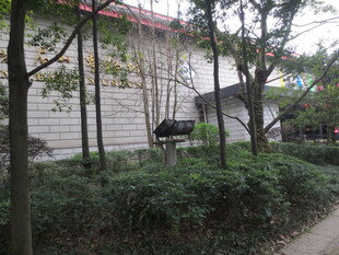 校园旁的绿植与建筑景观