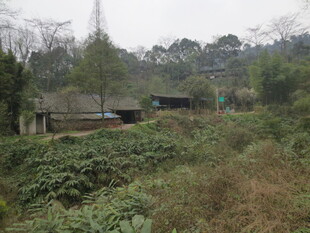 荒废乡村景象