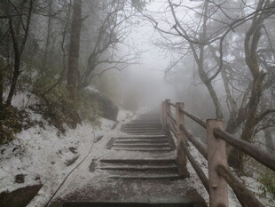 雾中雪覆木梯 山林幽景