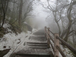 雾中雪覆木梯的山林景致