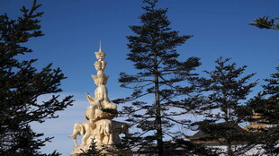 林中金色雕塑