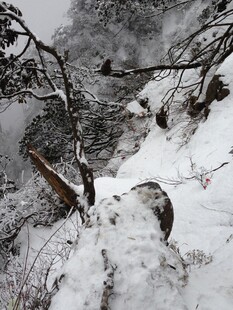 雪覆山林间的崎岖小径