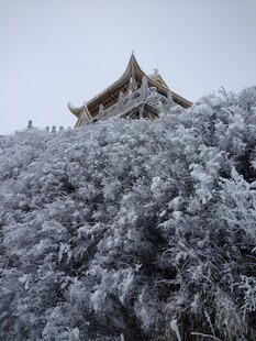 雪覆山林中的古朴建筑