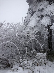 雪覆山林景致