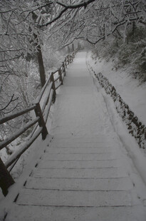 雪覆石阶 冬日静谧景致