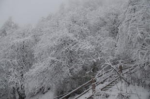 雪覆山林 木栏蜿蜒