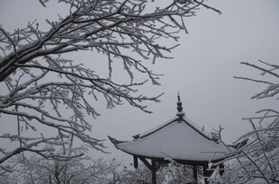 雪覆古亭 尽显冬日静谧