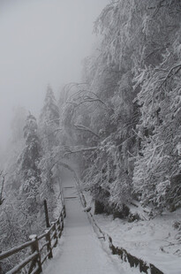 雪雾中的山间木栈道
