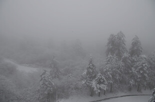 雪覆山林的朦胧冬日景观