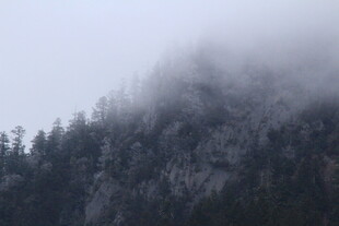 云雾缭绕的山林美景