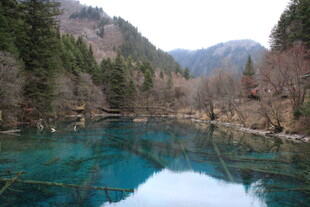 九寨沟绝美清澈湖泊景观