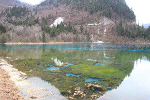 湖畔青山绿水美景如画