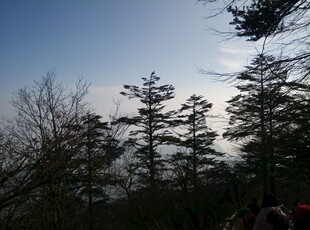 山林树木蓝天景象