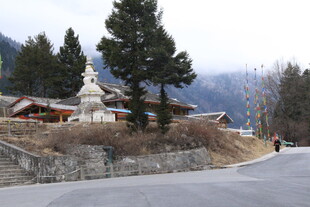 山间藏式建筑与白塔景观