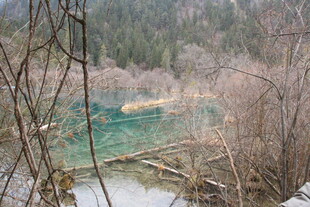 山林间的静谧湖泊景色