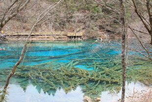 九寨沟蓝绿色湖水美景