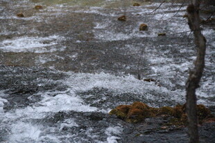 山间溪流潺潺 水花飞溅