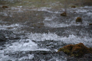 溪流中涌动的白色水花