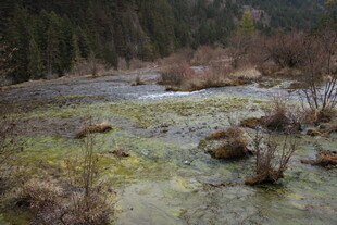 山间溪流湿地自然景致