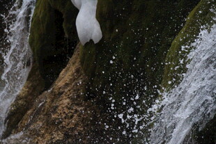 山间瀑布溅起白色水花