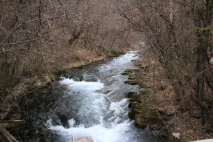 山间溪流潺潺流淌