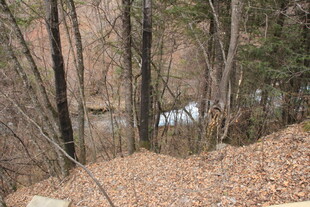 秋日林间小道与静谧溪流