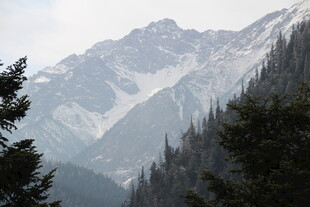 壮丽山景与茂密森林