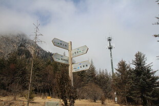 山林中的方向指示路标