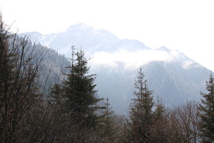 山林云雾中的秀丽山脉