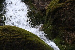 山间青苔瀑布美景