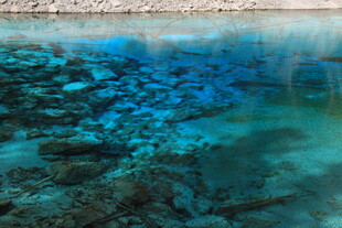 清澈见底的海底景观