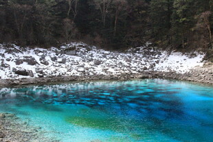 蓝绿色清澈幽潭美景