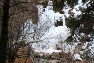冬日林间覆雪栈道景观