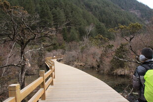 山间木栈道上的徒步者