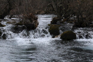 山间溪流奔腾的美丽景象