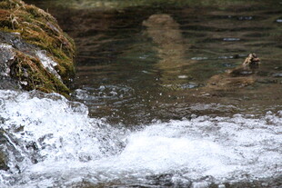 山间溪流溅起白色水花