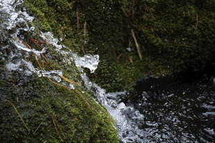 山间溪流瀑布 绿意盎然