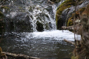 山间溪流小瀑布景观