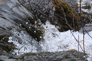 山间冰雪覆盖的岩石与植被