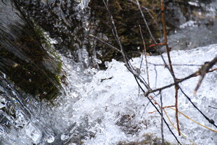 冬日溪边覆雪的冰凌与枝桠