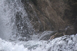 山间瀑布水流奔腾景象