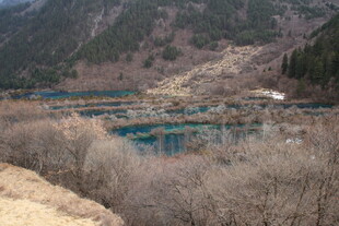 山间蓝湖与萧瑟树林景观