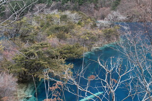 蓝湖旁的繁茂植被