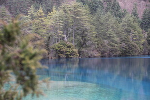 梦幻蓝湖旁的葱郁森林