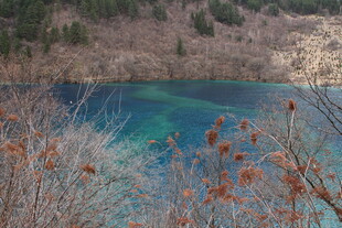 湖畔秋景 湖水清澈映山林
