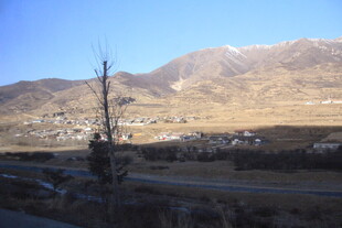 山间孤树与远处村落