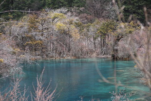 蓝绿色湖水与周边植被景观
