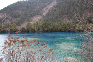 九寨沟蓝绿色湖水美景