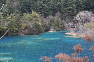 梦幻蓝湖之山林绝美风光
