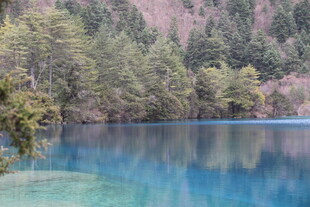 梦幻蓝湖伴葱郁山林